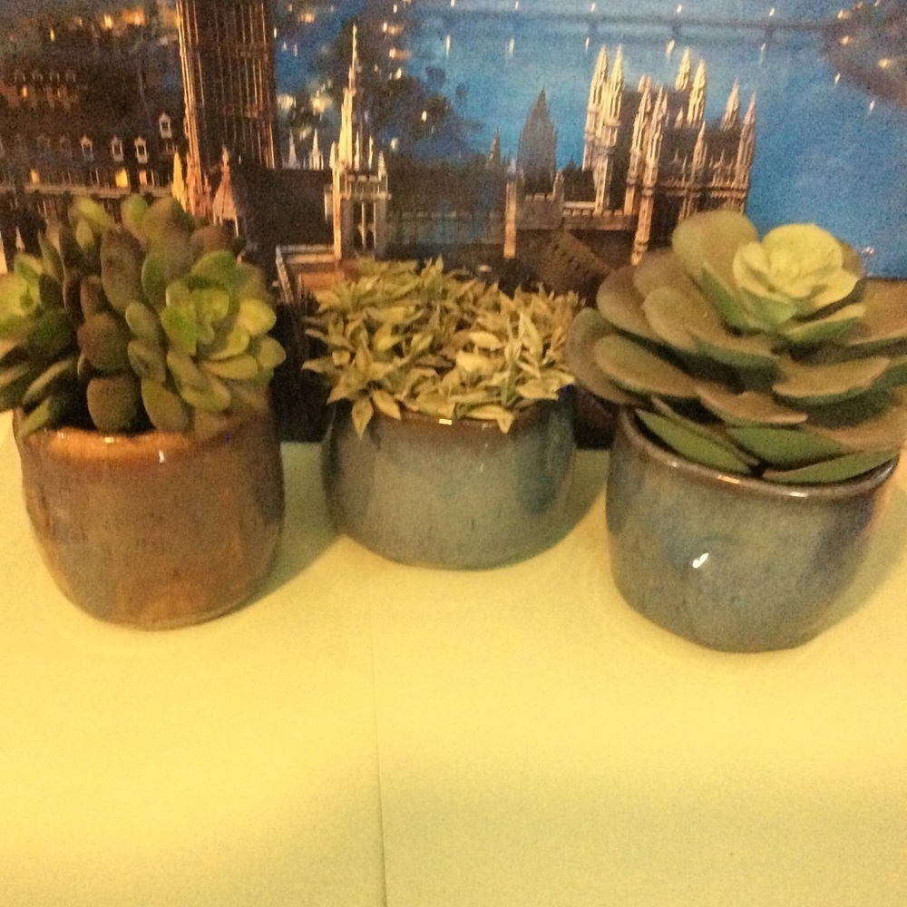 Hand Thrown Planters